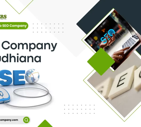 SEO Company in Ludhiana